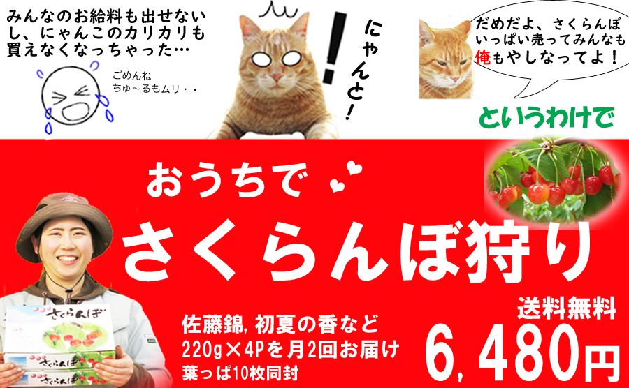 お家で6480円2回目