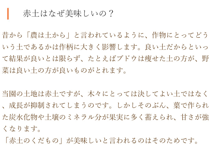 赤土はなぜ美味しいか