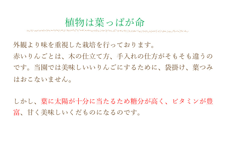 植物は葉っぱが命