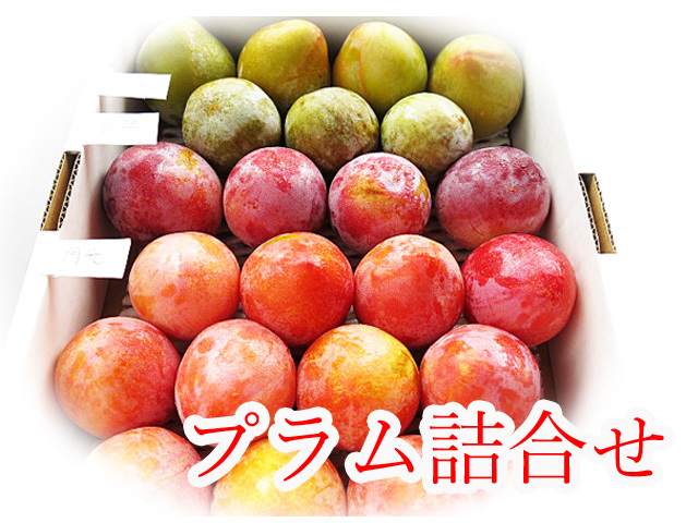プラム詰合せ
