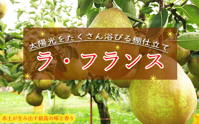 ラフランス