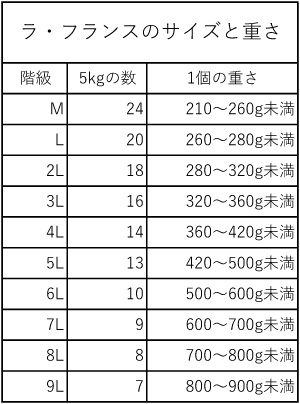 ラフランス規格表